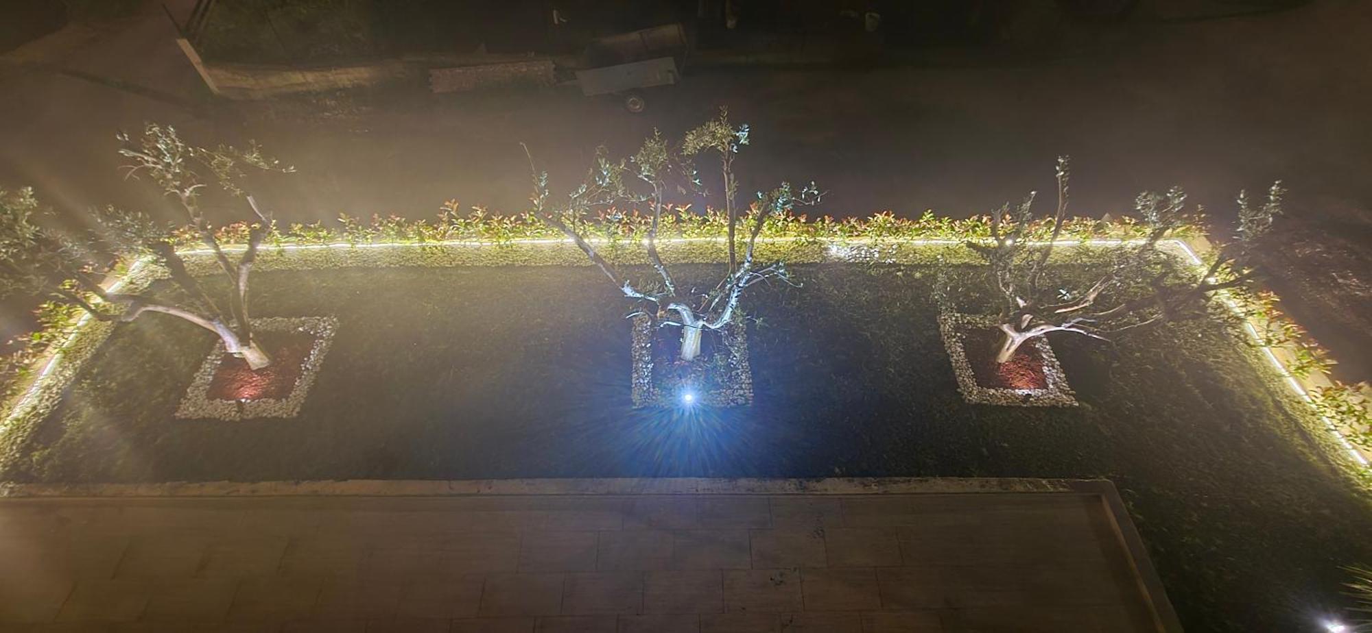 Deluxe Apartmani Vila Pejovic Sutomore Dış mekan fotoğraf